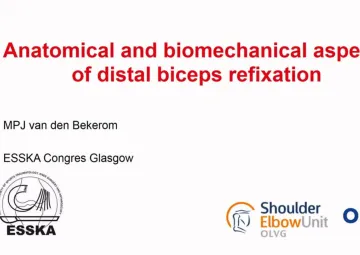 Anatomical and biomechanical aspects of the distal biceps tendon; relevance to possible complications