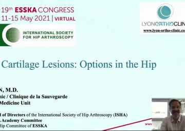 Cartilage Lesions: options in the hip