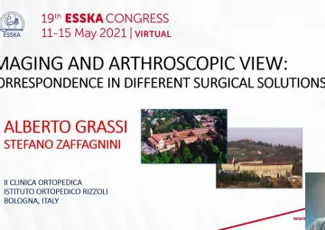 Imaging and arthroscopic view: Correspondence in different surgical situations