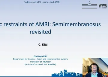 Dynamic restraints of AMRI: Semimembranosus revisited