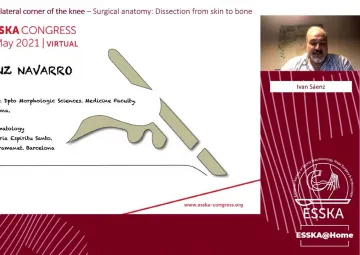 Surgical anatomy: Dissection from skin to bone