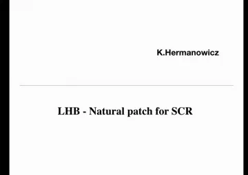 LHB - Natural patch for SCR